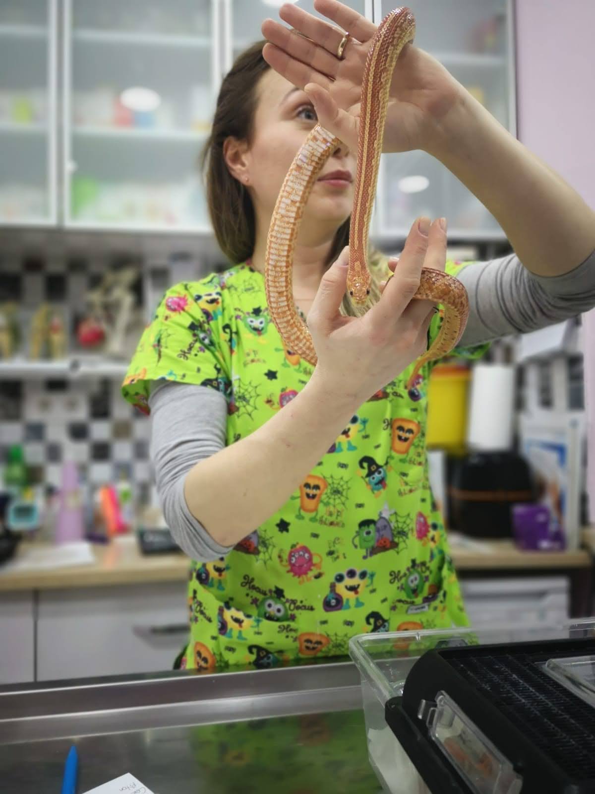 Muayene ( Egzotik ) - Check Up
