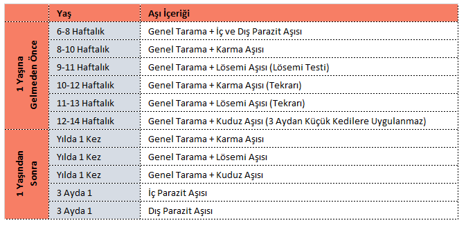 Aşı Uygulaması