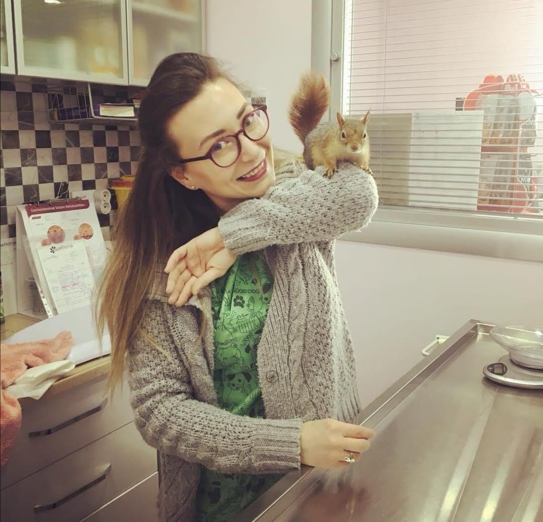 Muayene ( Egzotik ) - Check Up